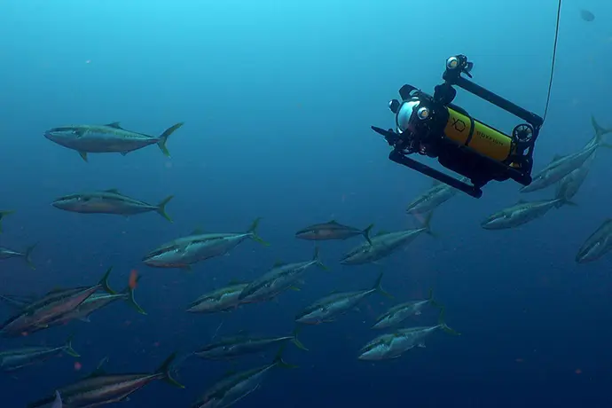 Boxfish robotics auv with DVL Boxfish robotics auv with DVL